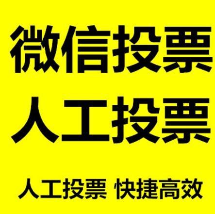 乌鲁木齐市投票活动拉票能被查出来吗？如何操作能不被发现？